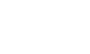 Playzee Casino logo